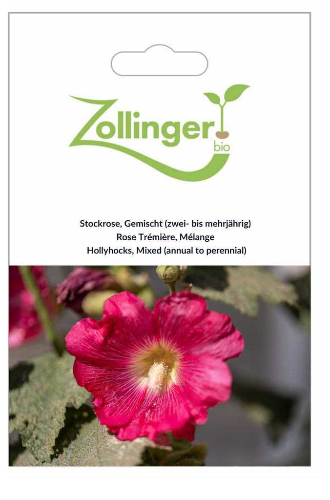 Sachet recto Rose Trémière, Mélange