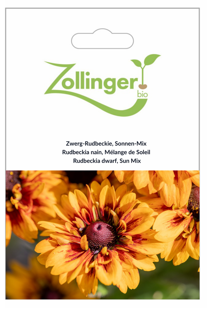 Sachet recto Rudbeckia nain, Mélange de Soleil