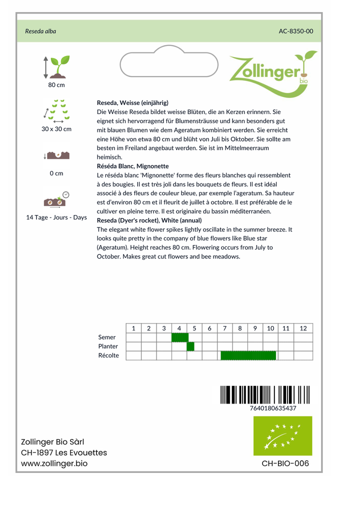 Sachet recto Réséda Blanc, Mignonette