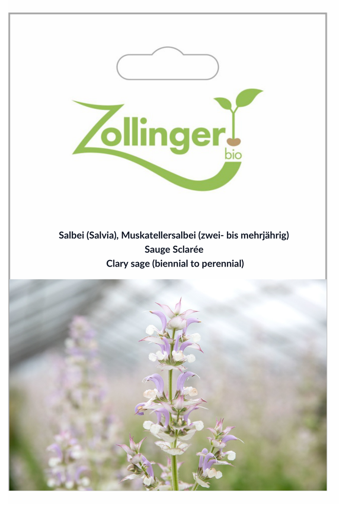 Sachet recto Sauge Sclarée