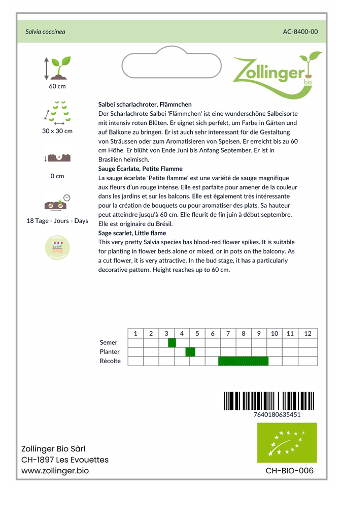 Sachet recto Sauge Écarlate, Petite Flamme