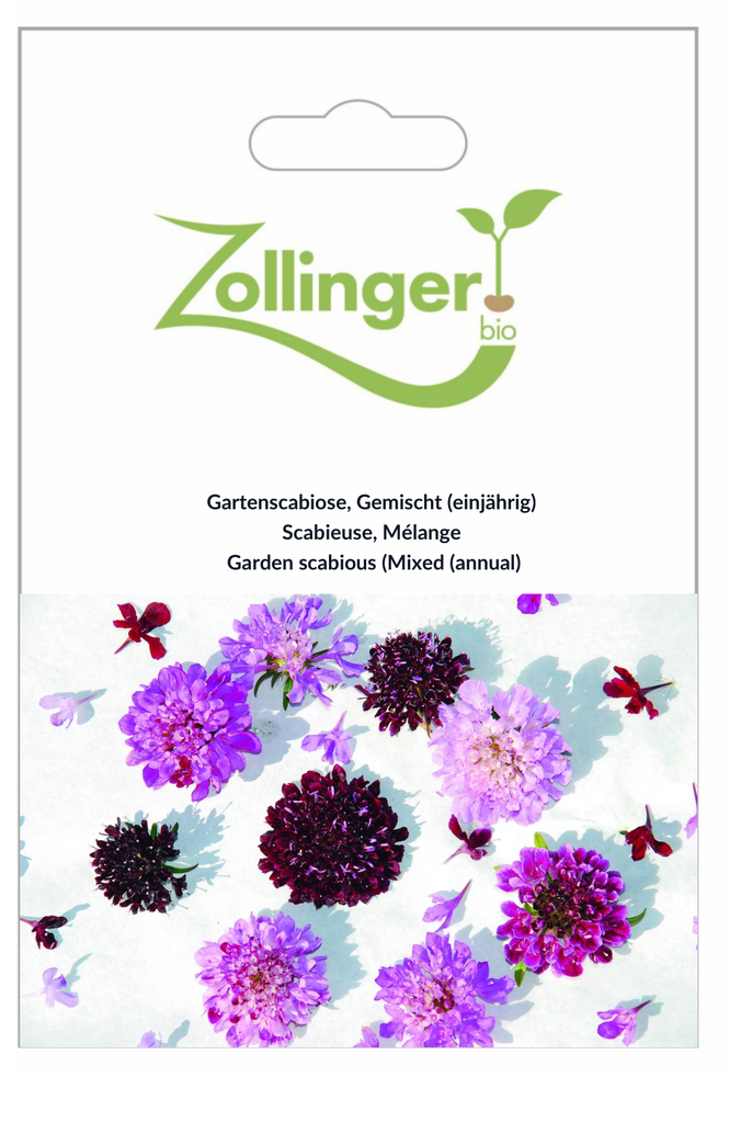 Sachet recto Scabieuse, Mélange