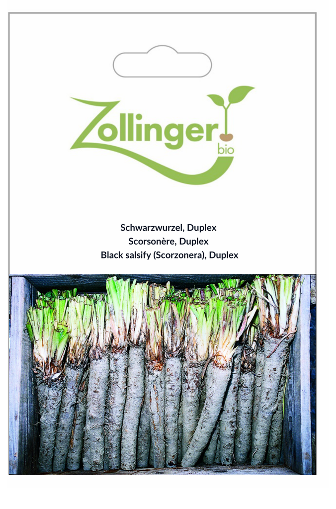 Sachet recto Scorsonère, Duplex