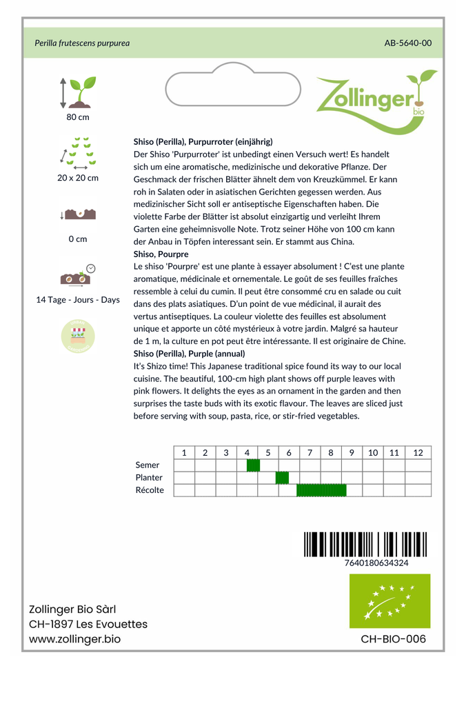 Sachet recto Shiso, Pourpre