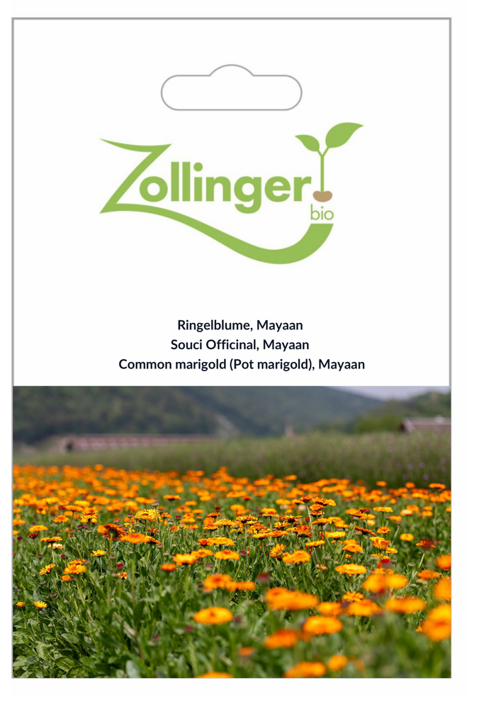 Sachet recto Souci Officinal, Mayaan