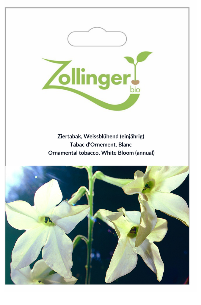 Sachet recto Tabac d'Ornement, Blanc