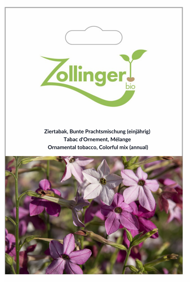 Sachet recto Tabac d'Ornement, Mélange