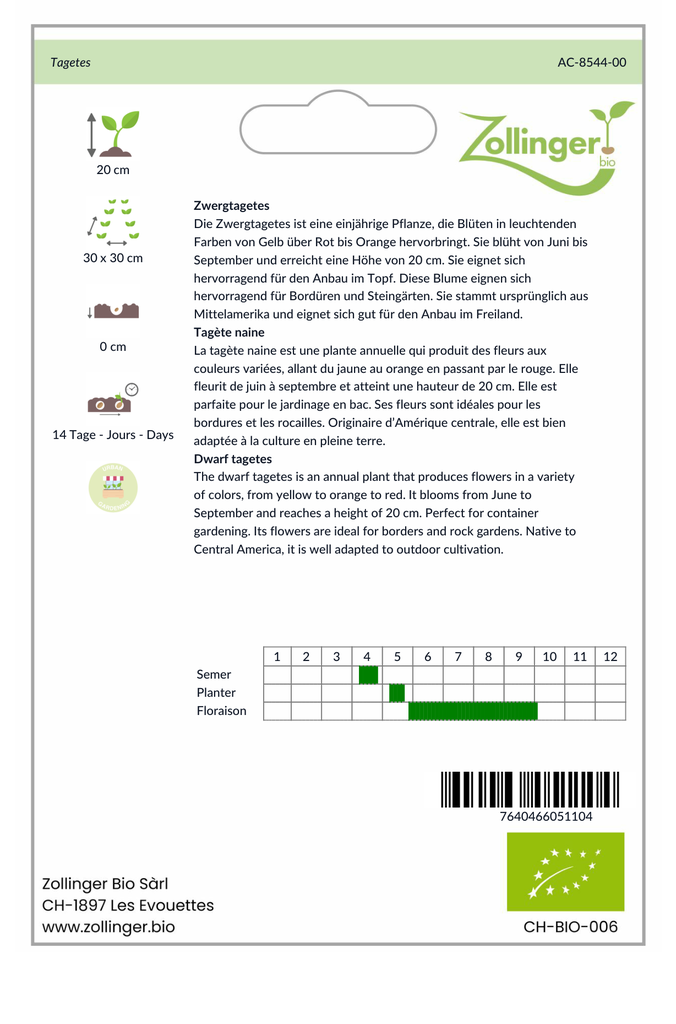 Sachet recto Tagète naine