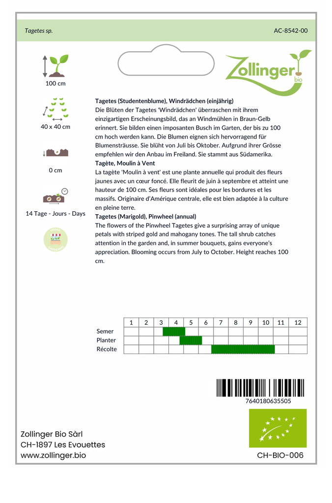 Sachet recto Tagète, Moulin à Vent