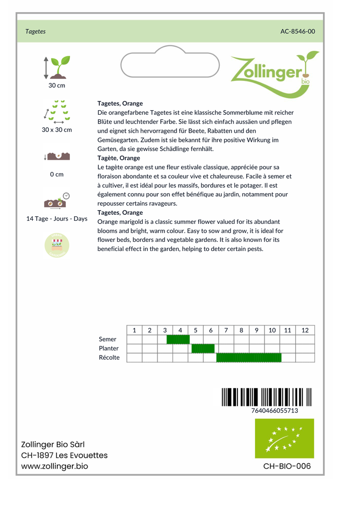 Sachet recto Tagète, Orange