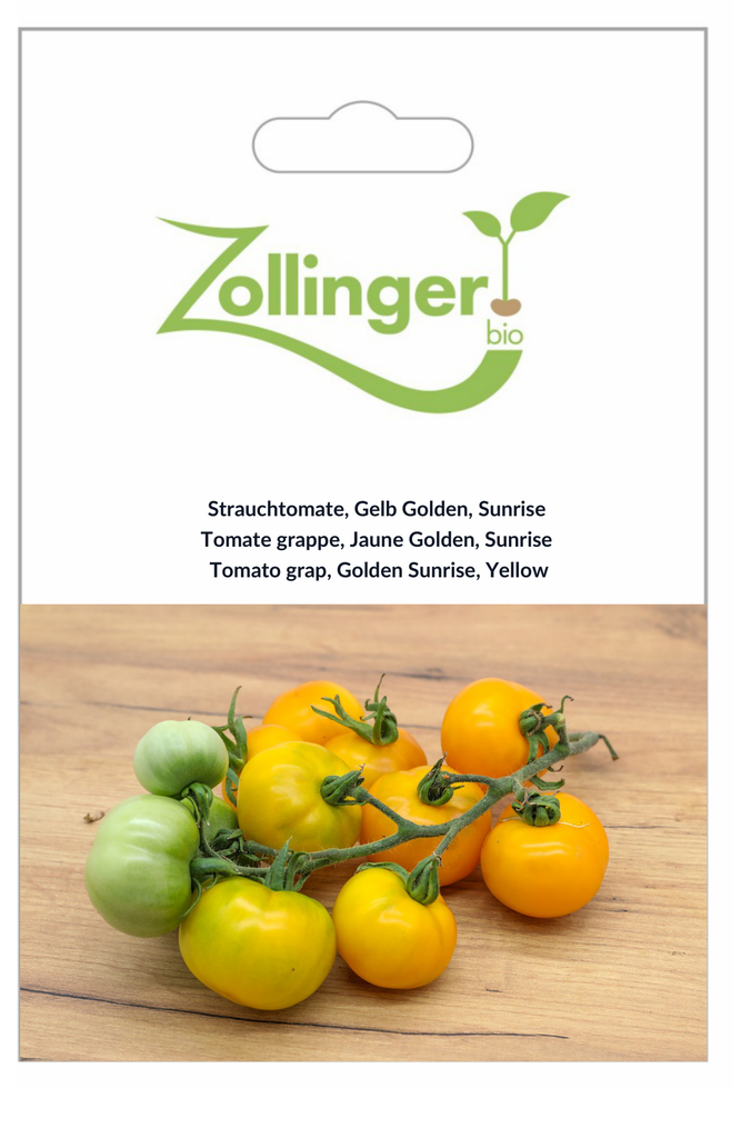Sachet recto Tomate grappe, Jaune Golden, Sunrise