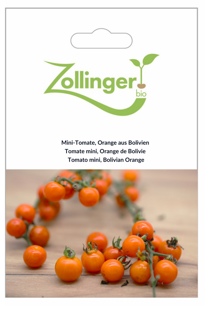 Sachet recto Tomate mini, Orange de Bolivie