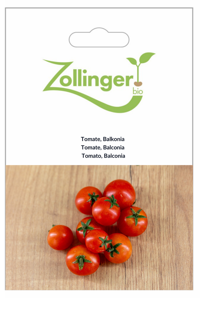 Sachet recto Tomate, Balconia