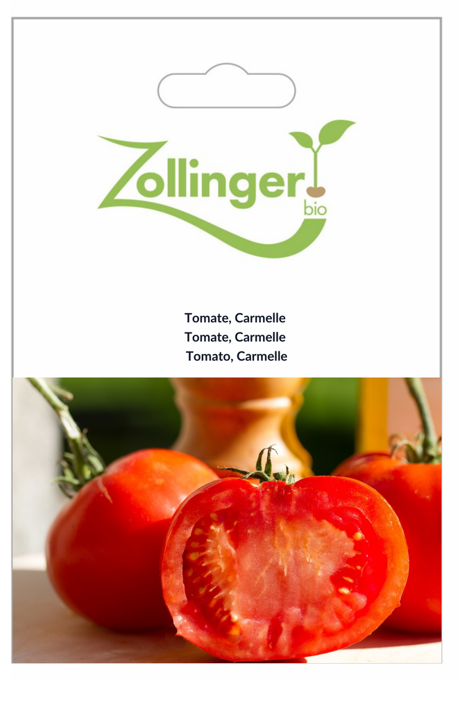 Sachet recto Tomate, Carmelle