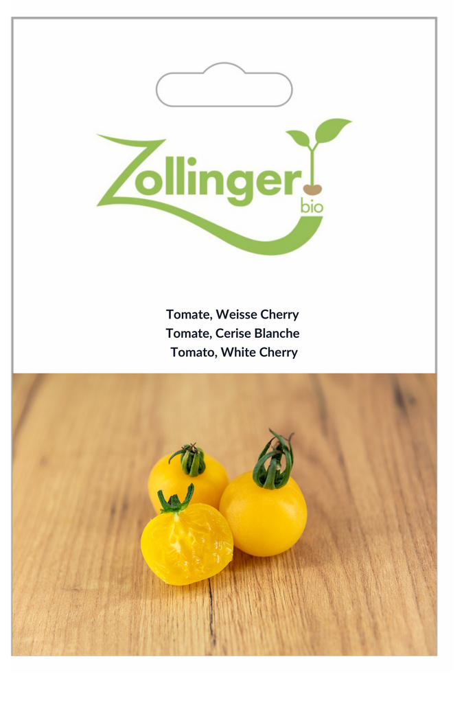Sachet recto Tomate, Cerise Blanche