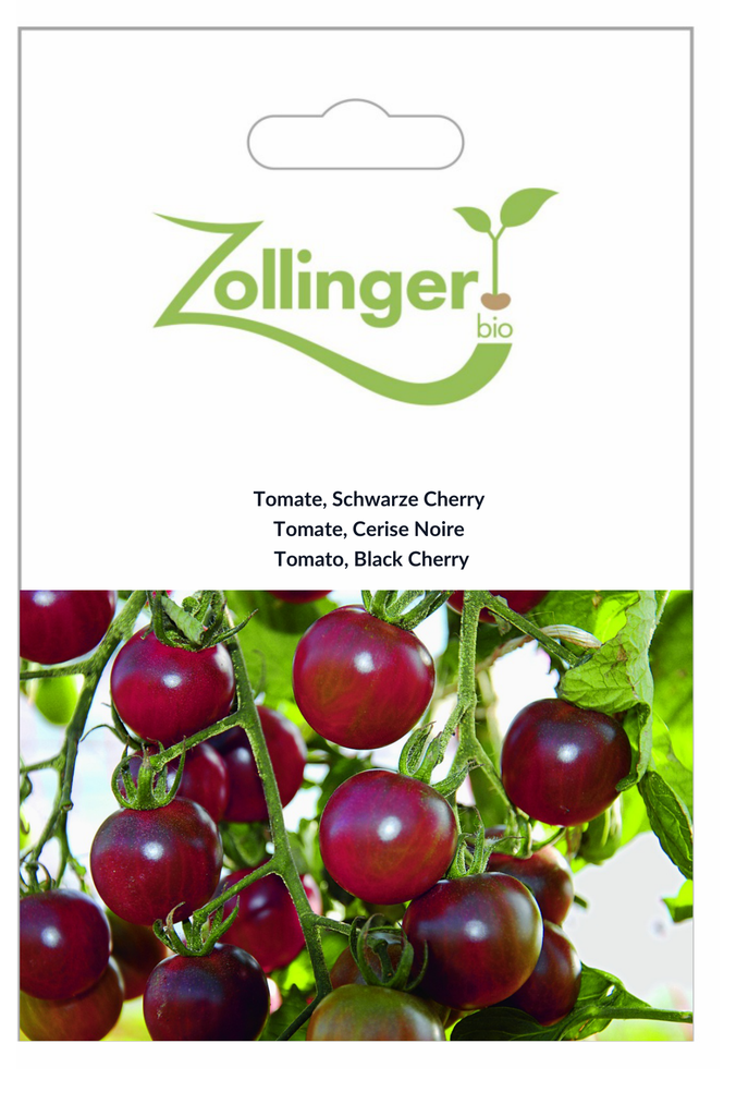 Sachet recto Tomate, Cerise Noire