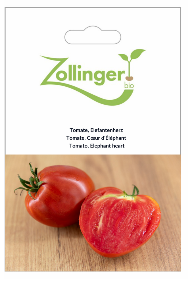 Sachet recto Tomate, Cœur d'Éléphant