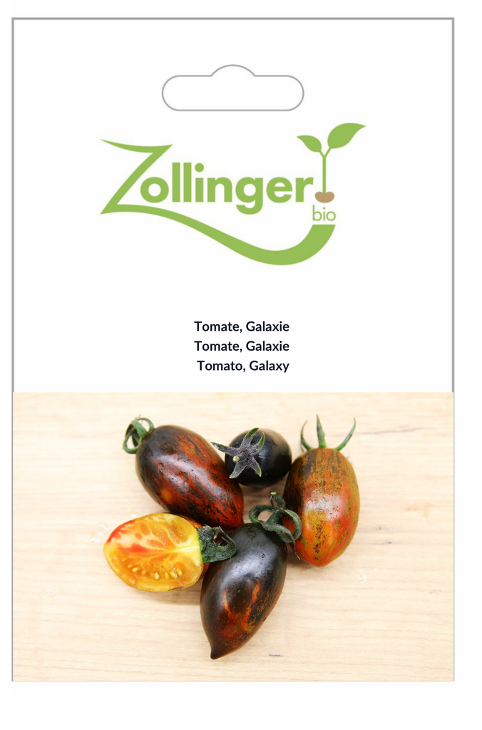 Sachet recto Tomate, Galaxie