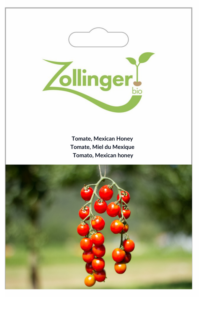 Sachet recto Tomate, Miel du Mexique