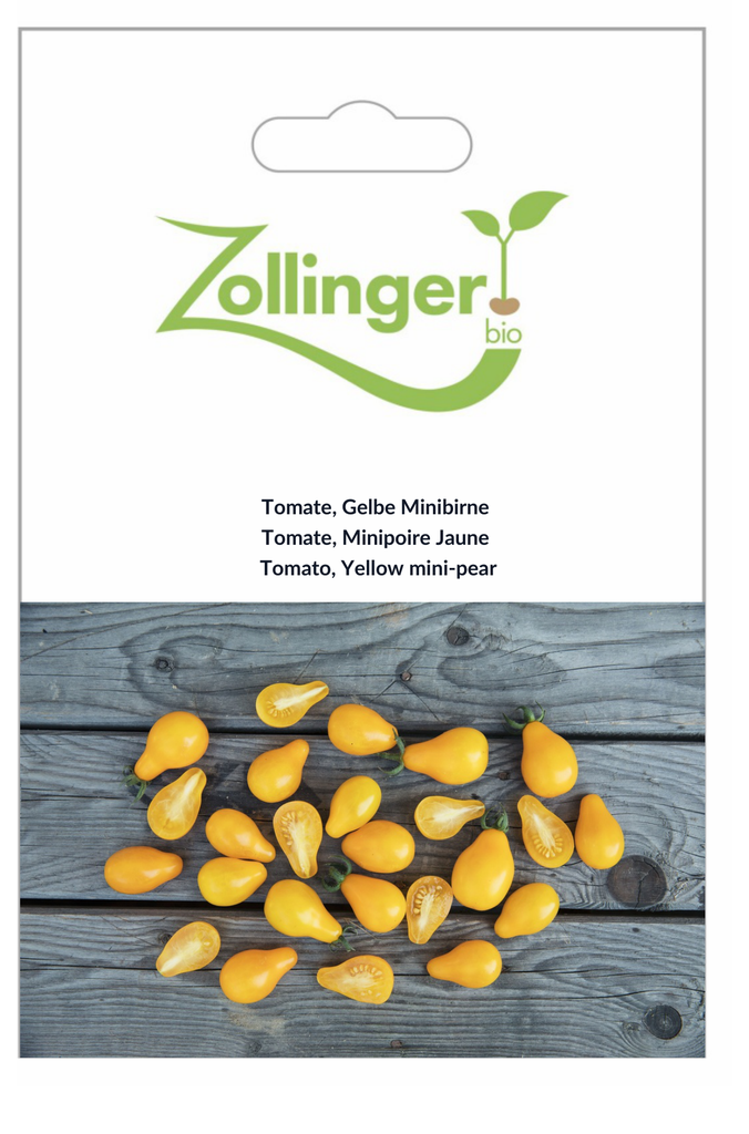 Sachet recto Tomate, Minipoire Jaune