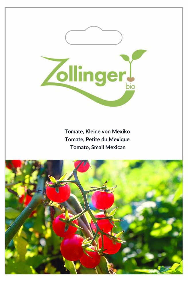 Sachet recto Tomate, Petite du Mexique