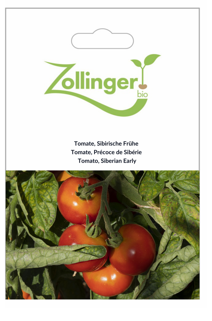 Sachet recto Tomate, Précoce de Sibérie