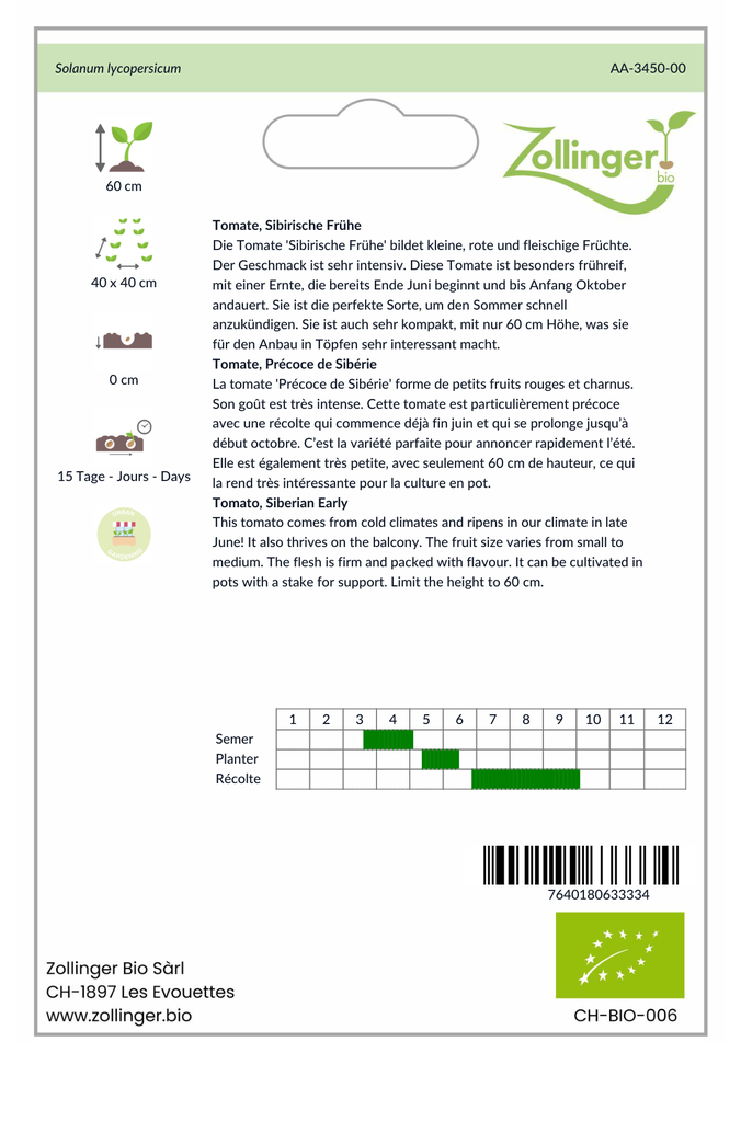 Sachet recto Tomate, Précoce de Sibérie