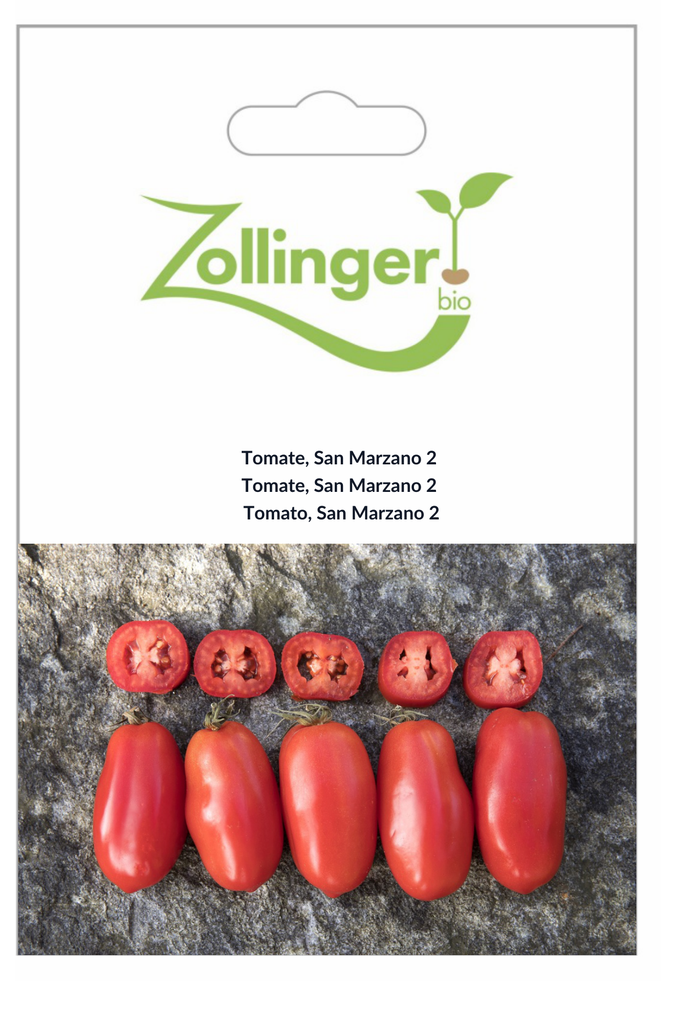 Sachet recto Tomate, San Marzano 2