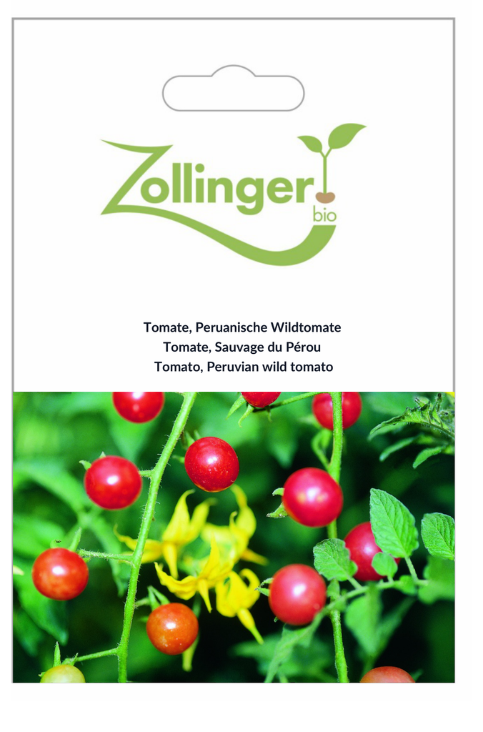 Sachet recto Tomate, Sauvage du Pérou
