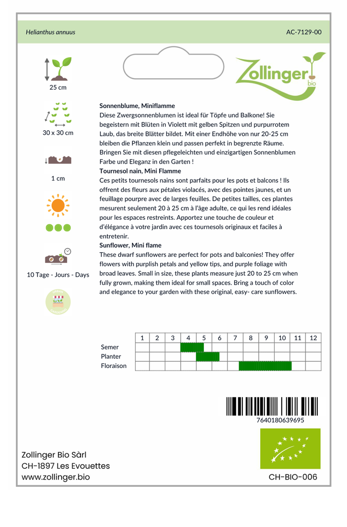 Sachet recto Tournesol nain, Mini Flamme