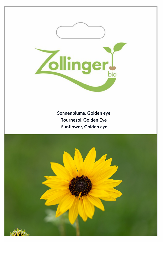 Sachet recto Tournesol, Golden Eye