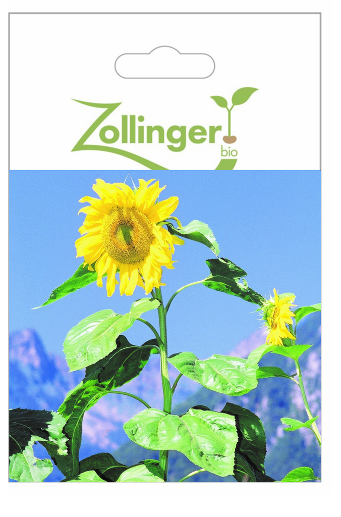 Sachet recto Tournesol, Joyeux Géants