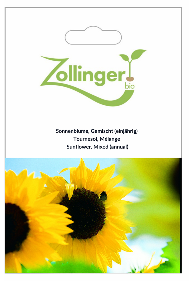 Sachet recto Tournesol, Mélange