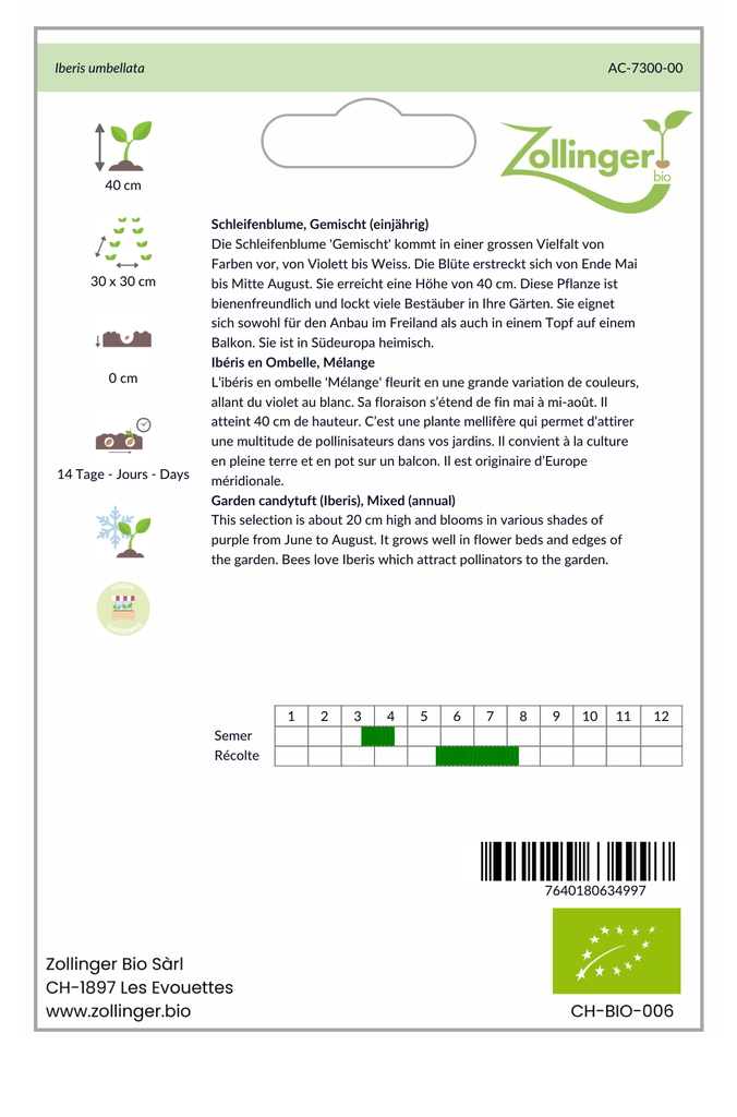 Sachet recto Ibéris en Ombelle, Mélange