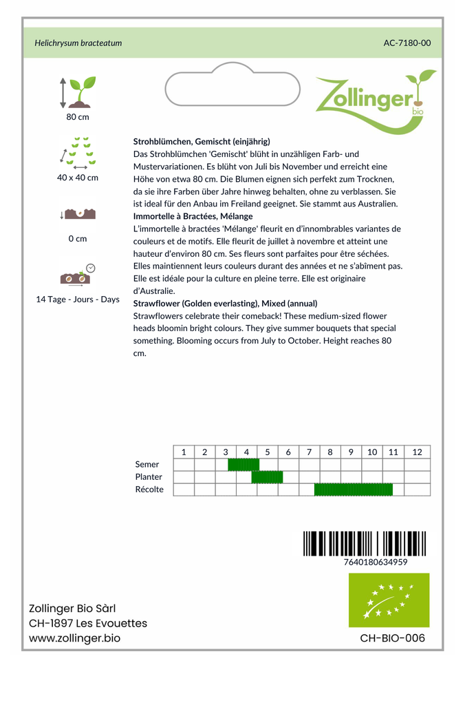 Sachet recto Immortelle à Bractées, Mélange