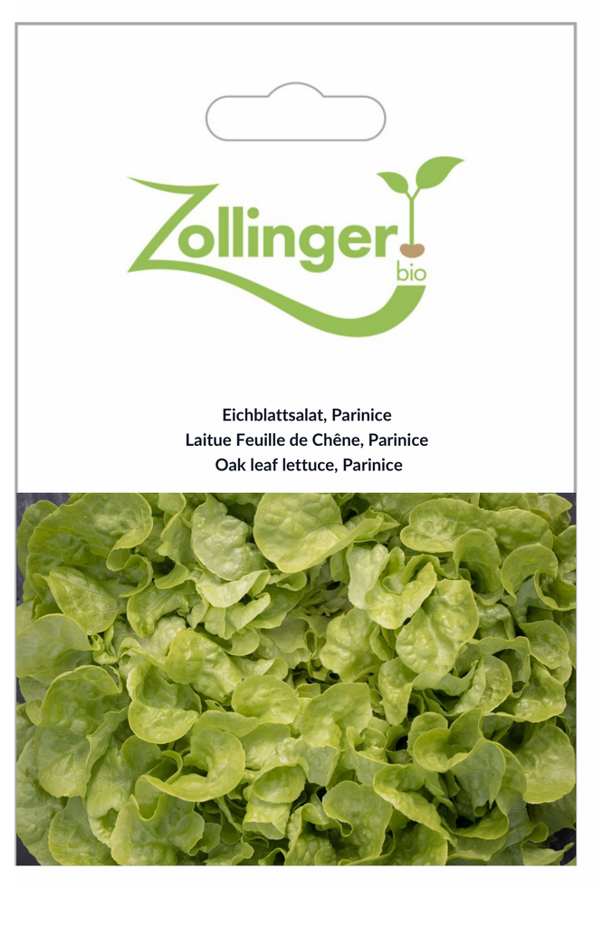 Sachet recto Laitue Feuille de Chêne, Parinice