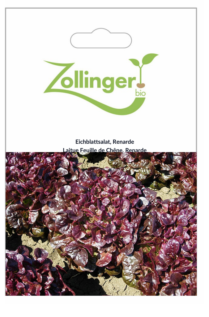 Sachet recto Laitue Feuille de Chêne, Renarde