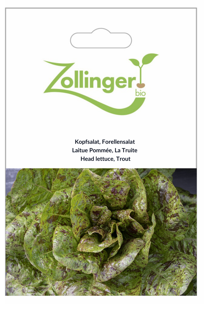 Sachet recto Laitue Pommée, La Truite