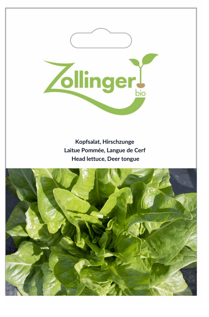 Sachet recto Laitue Pommée, Langue de Cerf