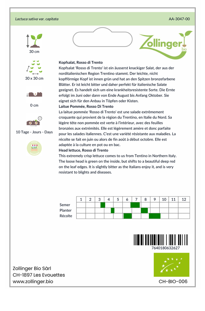 Sachet recto Laitue Pommée, Rosso Di Trento