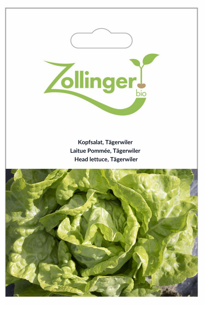 Sachet recto Laitue Pommée, Tägerwiler