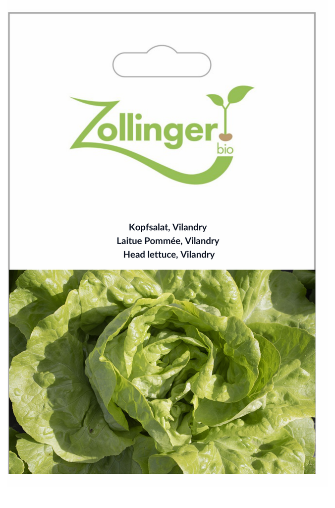Sachet recto Laitue Pommée, Vilandry