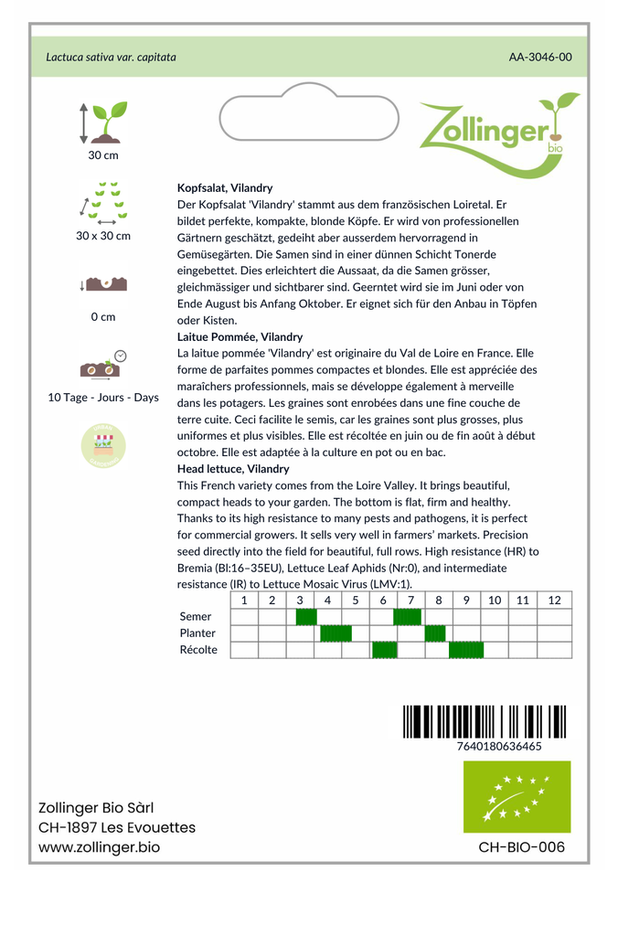 Sachet recto Laitue Pommée, Vilandry