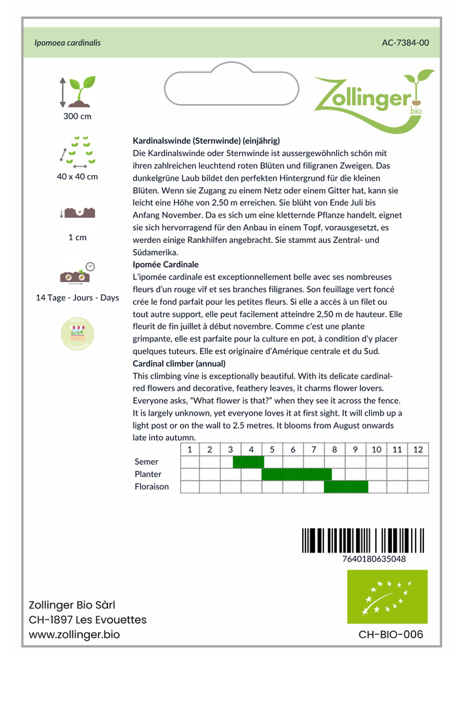 Sachet recto Ipomée Cardinale