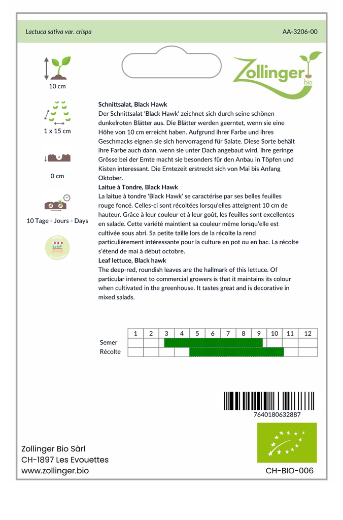 Sachet recto Laitue à Tondre, Black Hawk