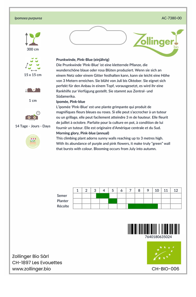 Sachet recto Ipomée, Pink-blue