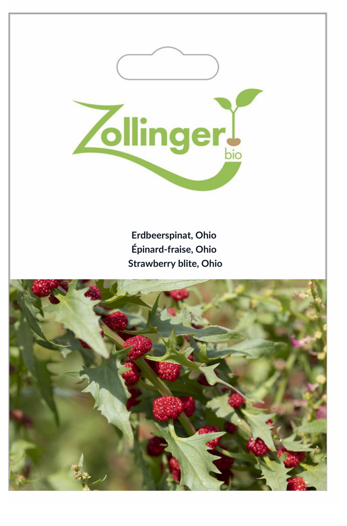 Sachet recto Épinard-fraise, Ohio