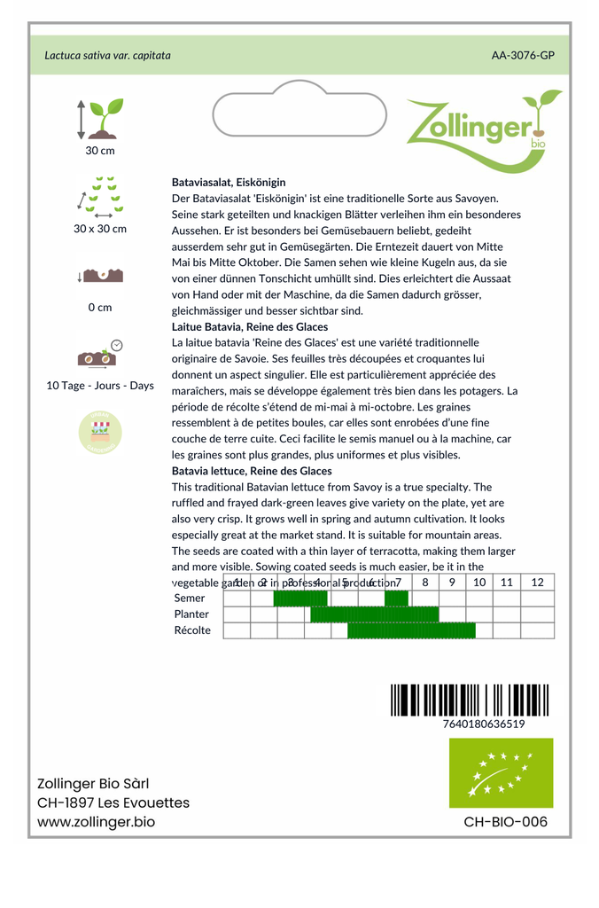 Sachet recto Laitue Batavia, Reine des Glaces
