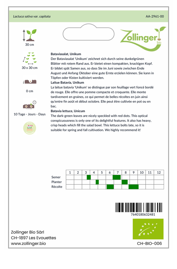 Sachet recto Laitue Batavia, Unikum