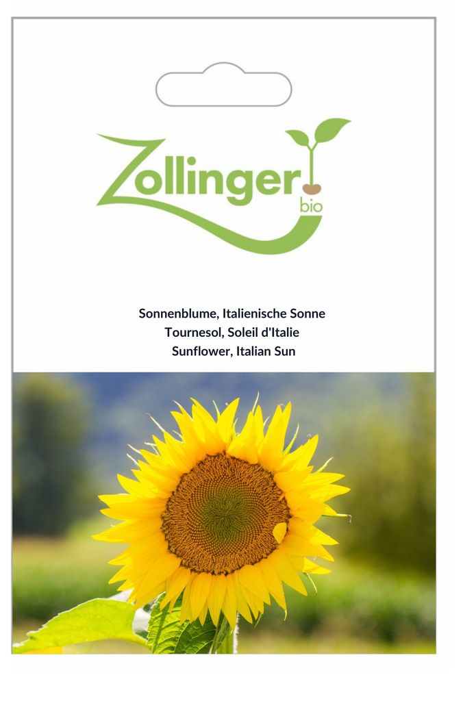 Sachet recto Tournesol, Soleil d'Italie